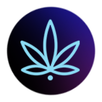 Cannabis