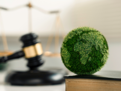 France: French Administrative Supreme Court Cancels the Operating License for the Gardanne Biomass Plant